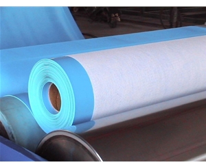 内蒙古增强型加筋PVC防水卷材
